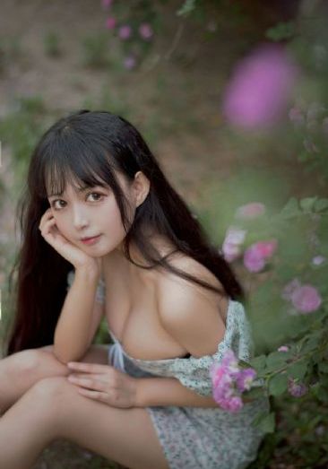 父辈的荣耀电视剧免费观看完整版_DVD免费播放