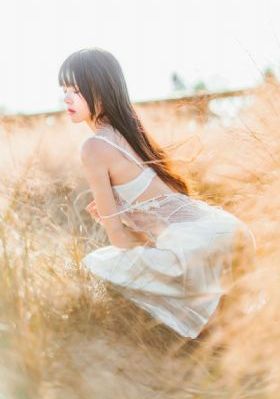 美梦大全在线观看免费_免费完整版高清