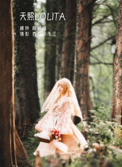 莉兹与青鸟_剧情片手机在线观看